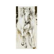Blaze Wild Spirit Canvas canvas - Palatium Lux