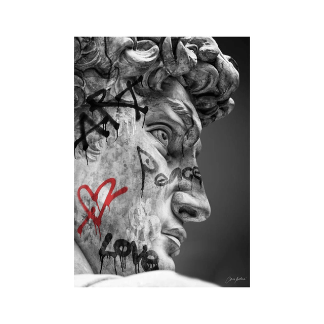 David Rebel Visionary Canvas canvas - Palatium Lux