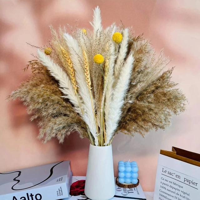 La Pampas Natural Dried Flowers - Palatium Lux