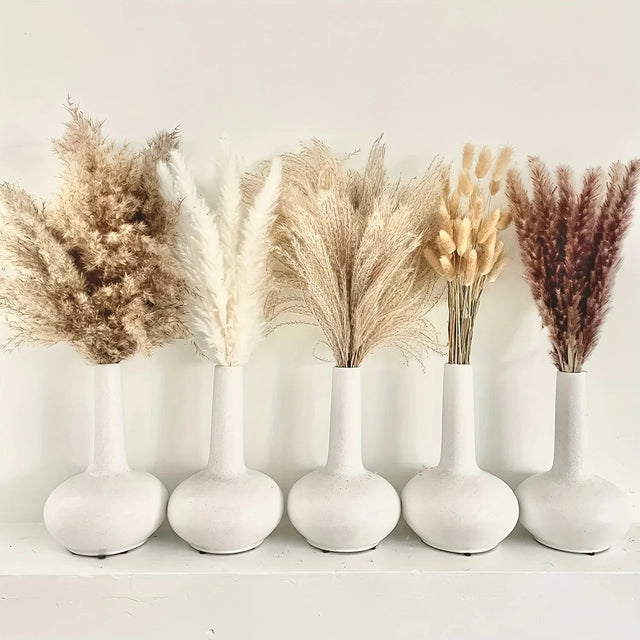 La Pampas Natural Dried Flowers - Palatium Lux