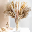 La Pampas Natural Dried Flowers - Palatium Lux