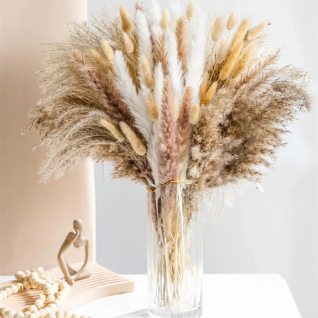 La Pampas Natural Dried Flowers - Palatium Lux