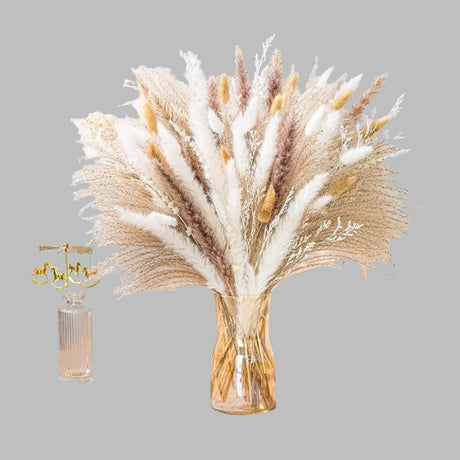 La Pampas Natural Dried Flowers - Palatium Lux