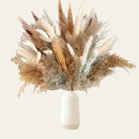 La Pampas Natural Dried Flowers - Palatium Lux