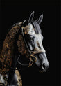 Regal Kingdom of Beasts Canvas Horse SKU-12 / 50x70cm (20x28 Inch) No Frame canvas - Palatium Lux