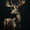 Regal Kingdom of Beasts Canvas Deer SKU-10 / 50x70cm (20x28 Inch) No Frame canvas - Palatium Lux