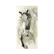 Storm Runner Wild Spirit Canvas canvas - Palatium Lux